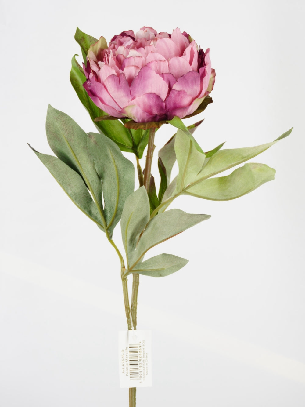 Peonia Marville