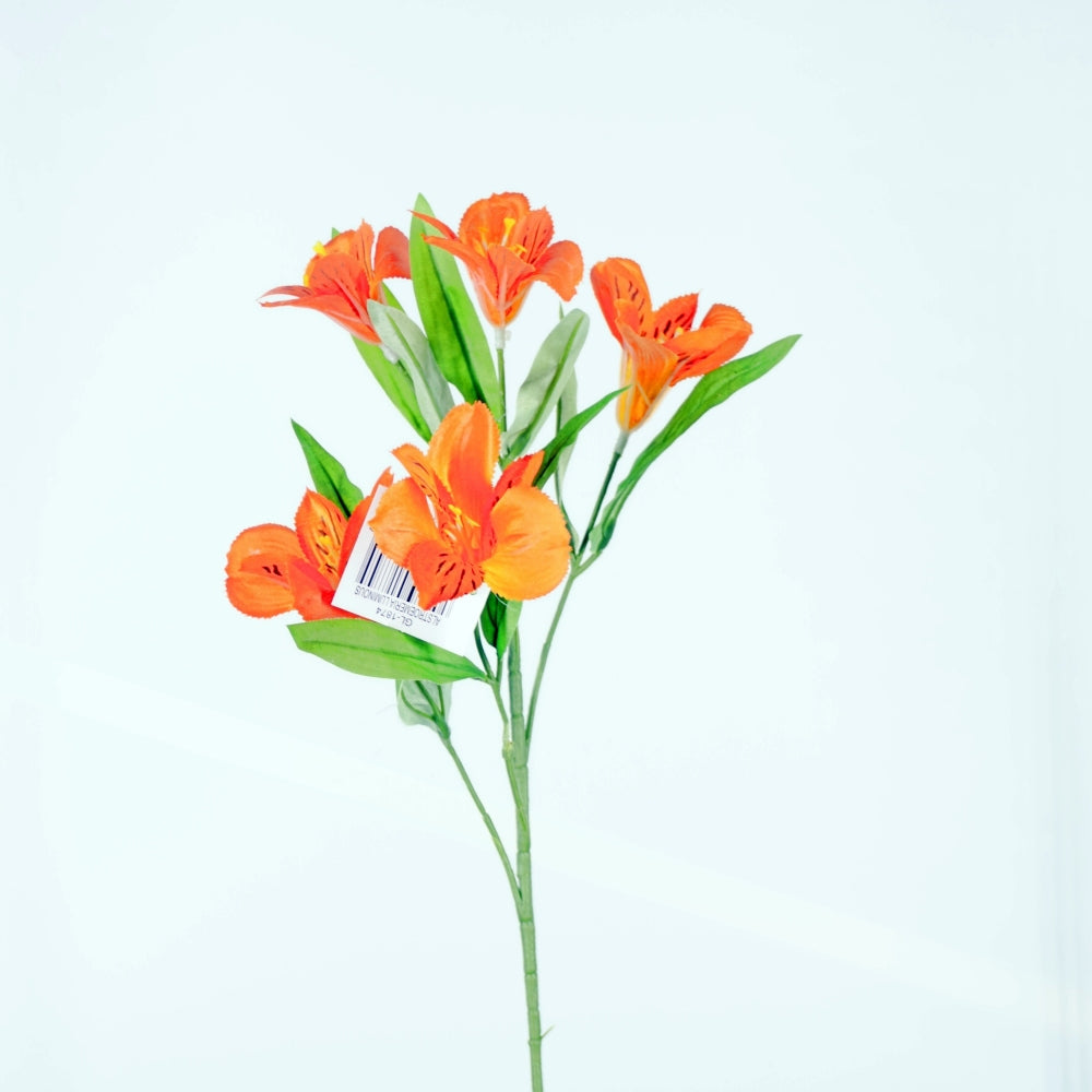 Alstroemeria Luminous