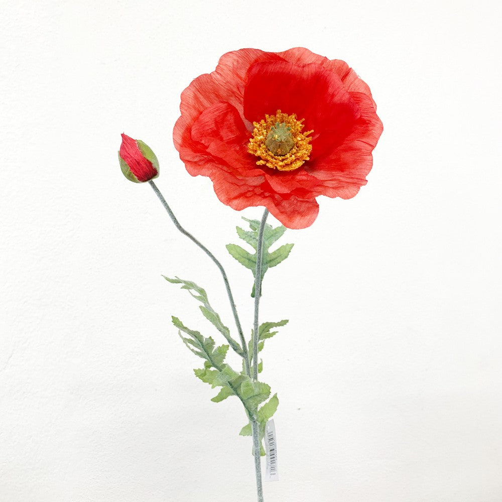 Danish Poppy